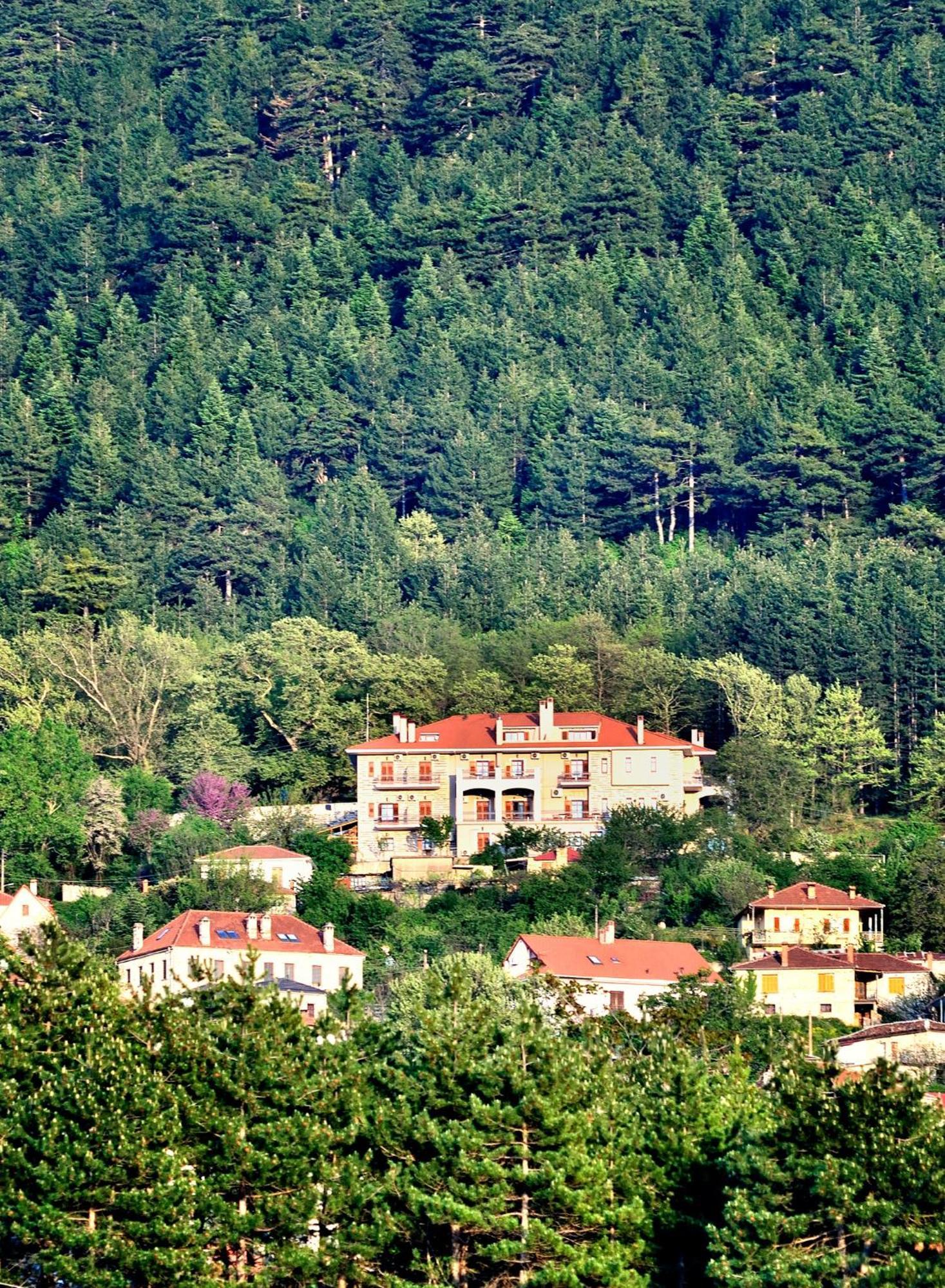 Konitsa Mountain Hotel Exterior photo